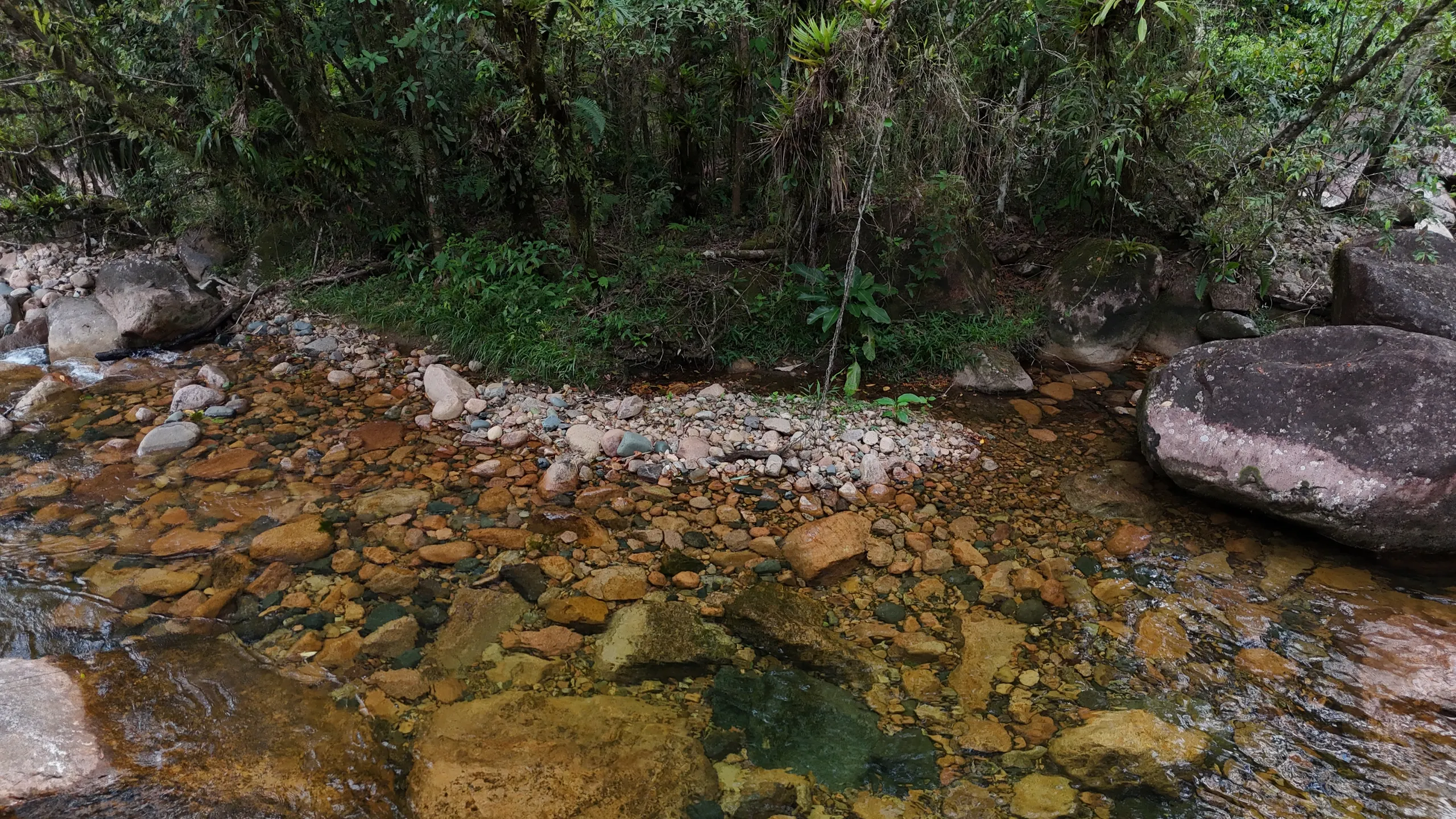 Fazenda à venda e para Arrendar de 98 ha em Guaratuba, PR, Brasil