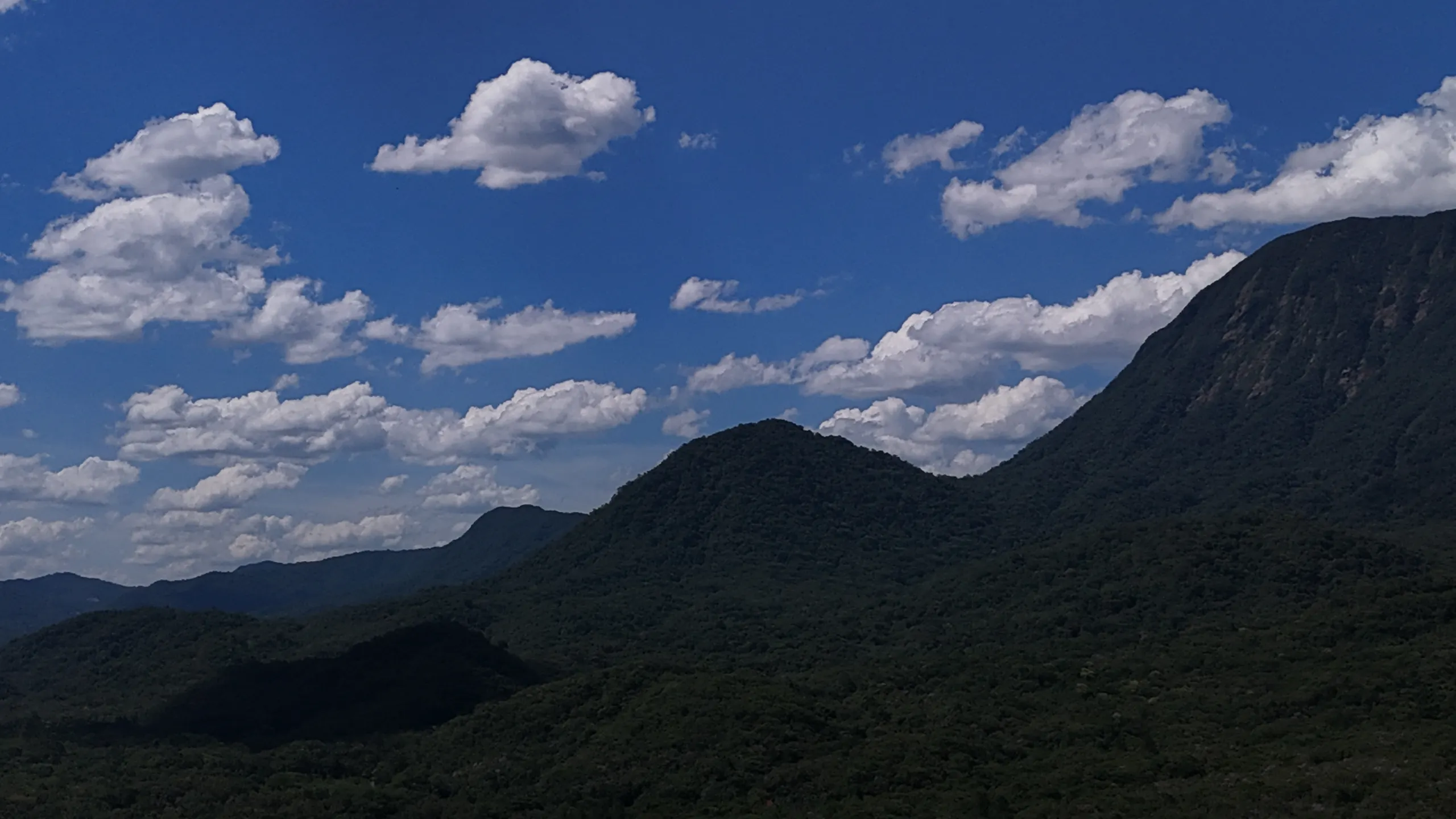 Fazenda à venda e para Arrendar de 98 ha em Guaratuba, PR, Brasil