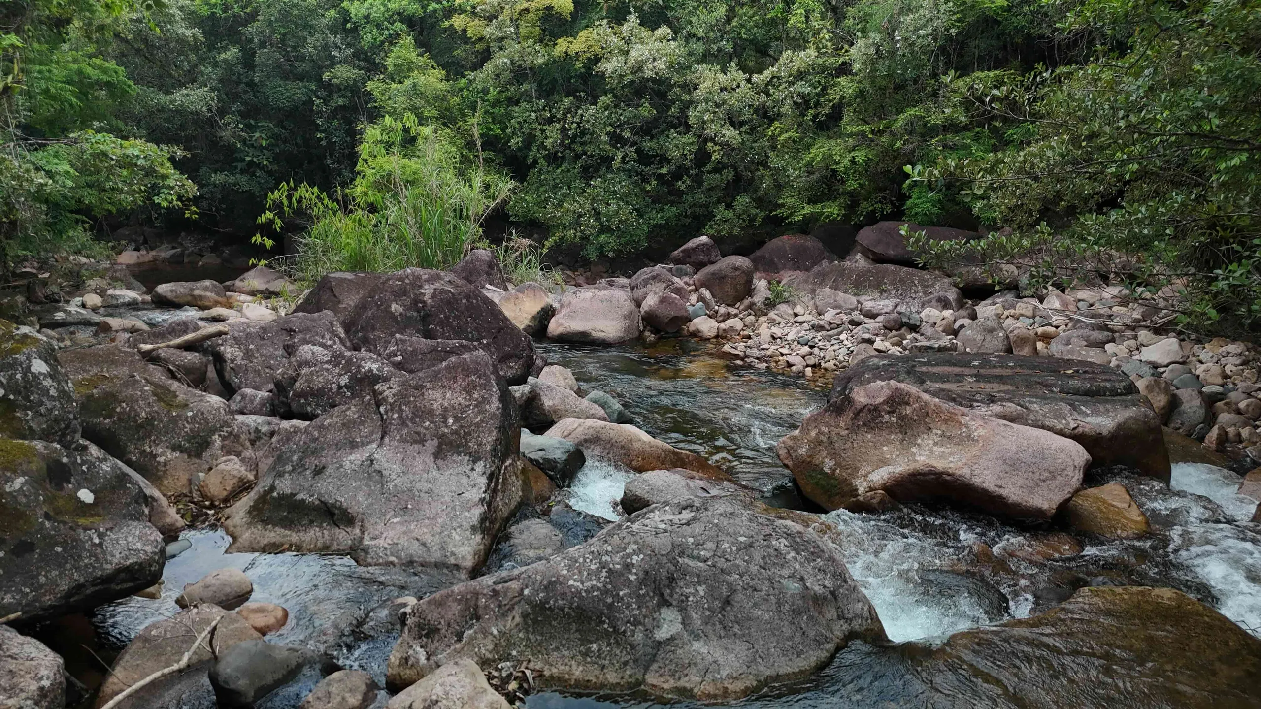 Fazenda à venda e para Arrendar de 98 ha em Guaratuba, PR, Brasil