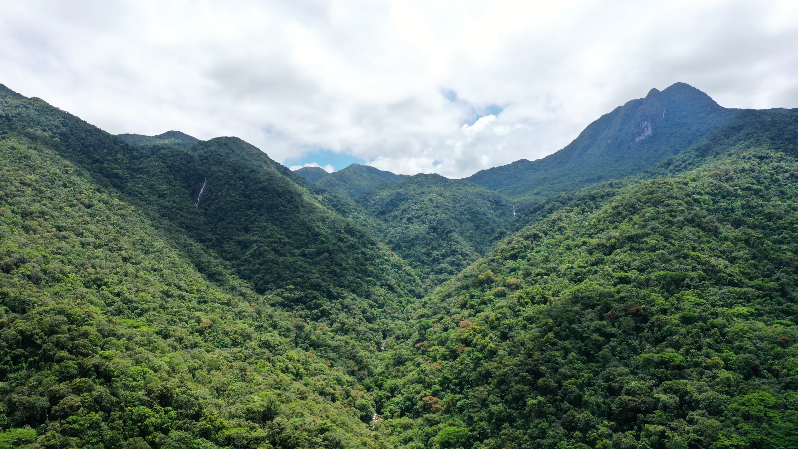 Fazenda à venda e para Arrendar de 98 ha em Guaratuba, PR, Brasil