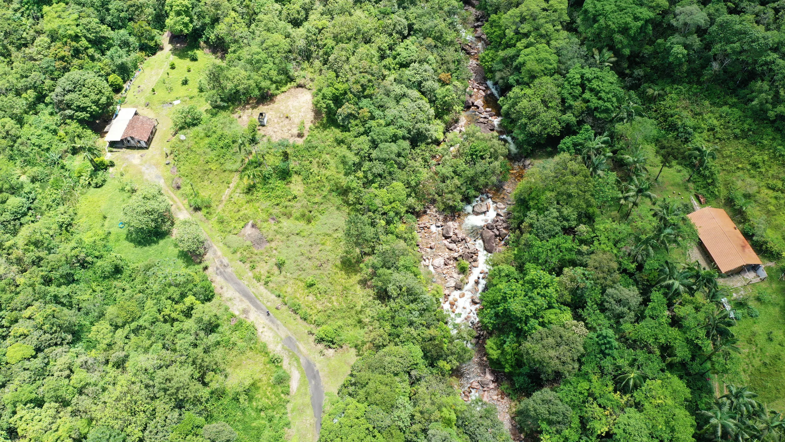 Fazenda à venda e para Arrendar de 98 ha em Guaratuba, PR, Brasil