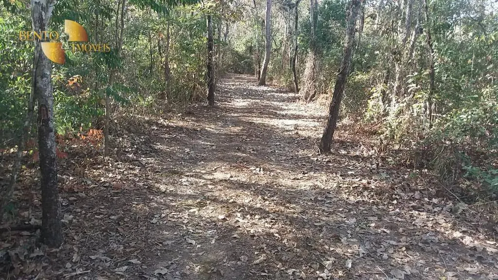 Sítio à venda de 11 ha em Rosário Oeste, MT, Brasil