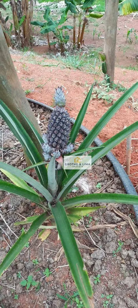 Sítio à venda de 3 ha em Redenção da Serra, SP, Brasil