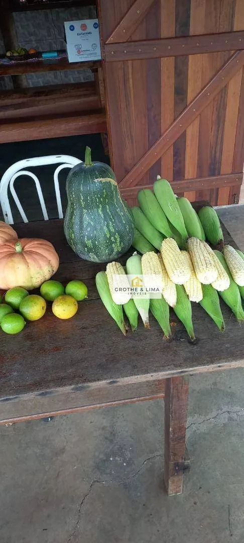 Sítio à venda de 3 ha em Redenção da Serra, SP, Brasil