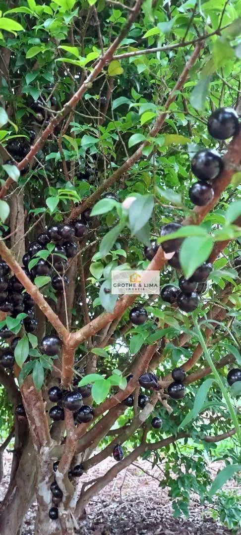 Sítio à venda de 3 ha em Redenção da Serra, SP, Brasil
