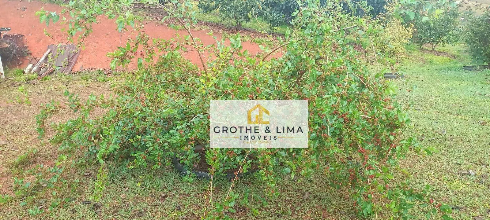 Sítio à venda de 3 ha em Redenção da Serra, SP, Brasil