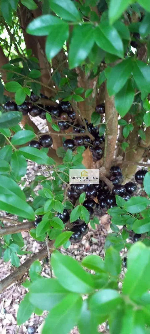 Sítio à venda de 3 ha em Redenção da Serra, SP, Brasil