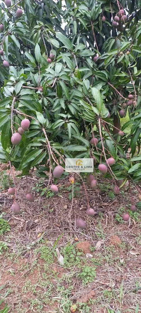 Sítio à venda de 3 ha em Redenção da Serra, SP, Brasil