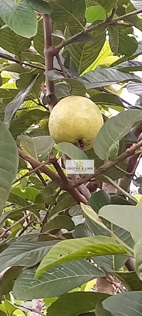 Sítio à venda de 3 ha em Redenção da Serra, SP, Brasil