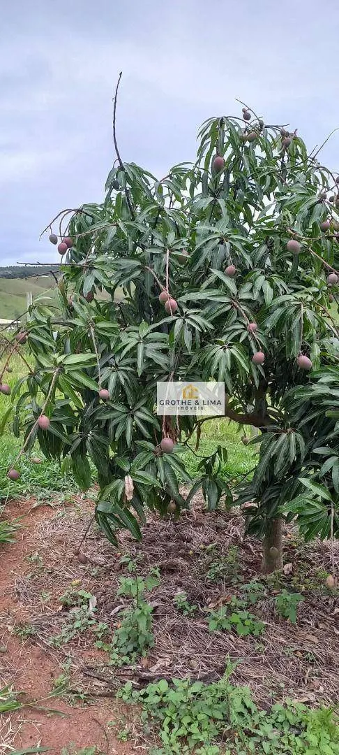Sítio à venda de 3 ha em Redenção da Serra, SP, Brasil