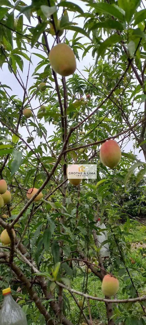 Sítio à venda de 3 ha em Redenção da Serra, SP, Brasil