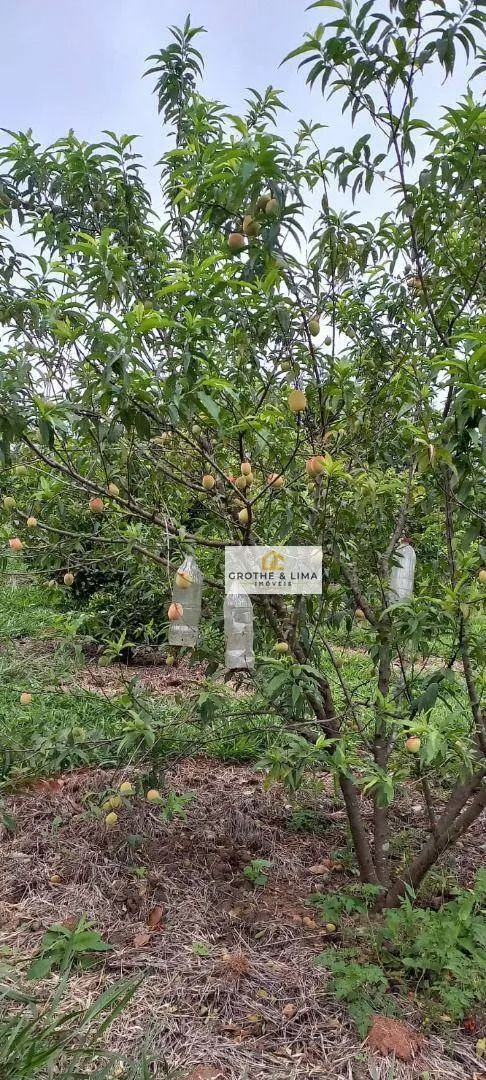 Sítio à venda de 3 ha em Redenção da Serra, SP, Brasil
