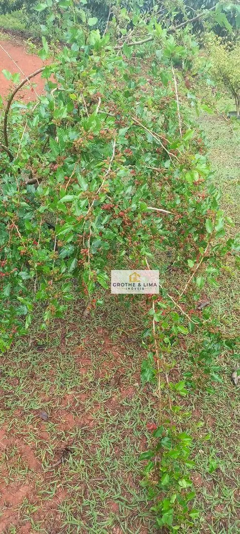 Sítio à venda de 3 ha em Redenção da Serra, SP, Brasil