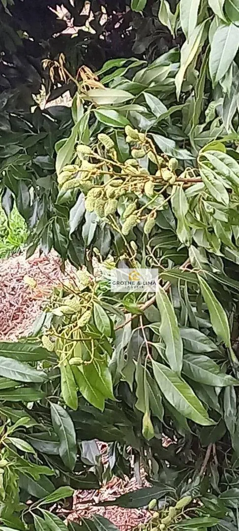 Sítio à venda de 3 ha em Redenção da Serra, SP, Brasil