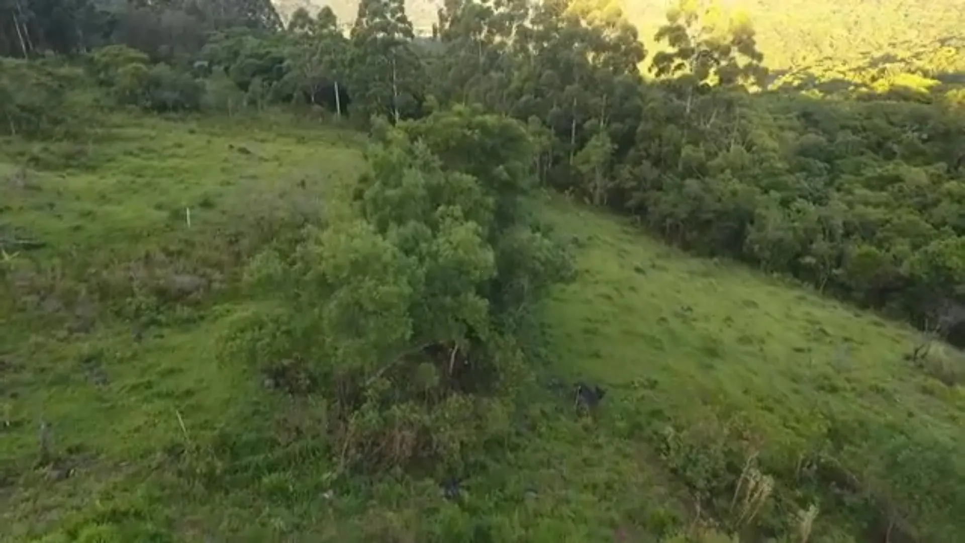 Chácara à venda de 5 ha em Caraá, RS, Brasil