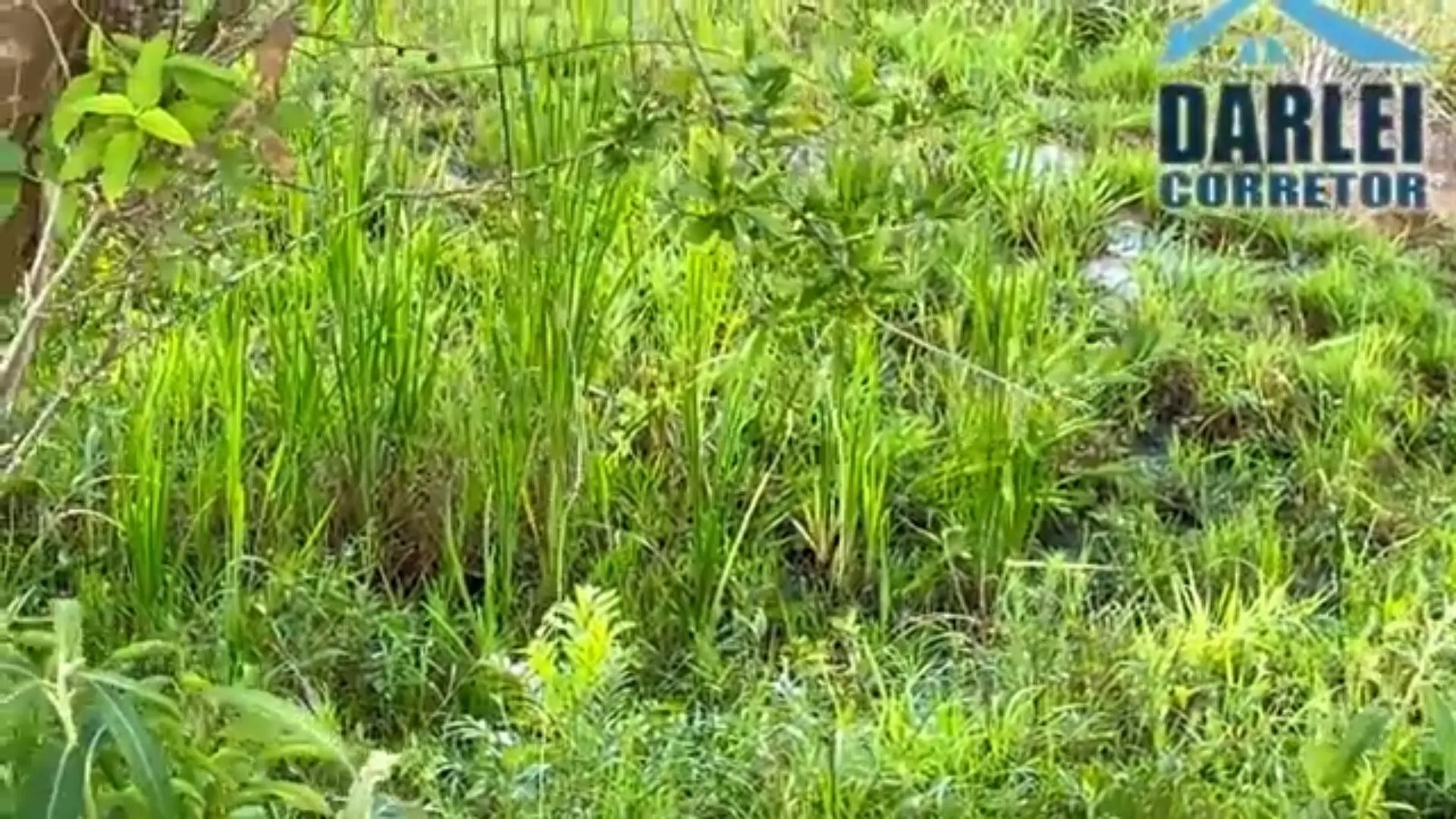 Chácara à venda de 5 ha em Caraá, RS, Brasil