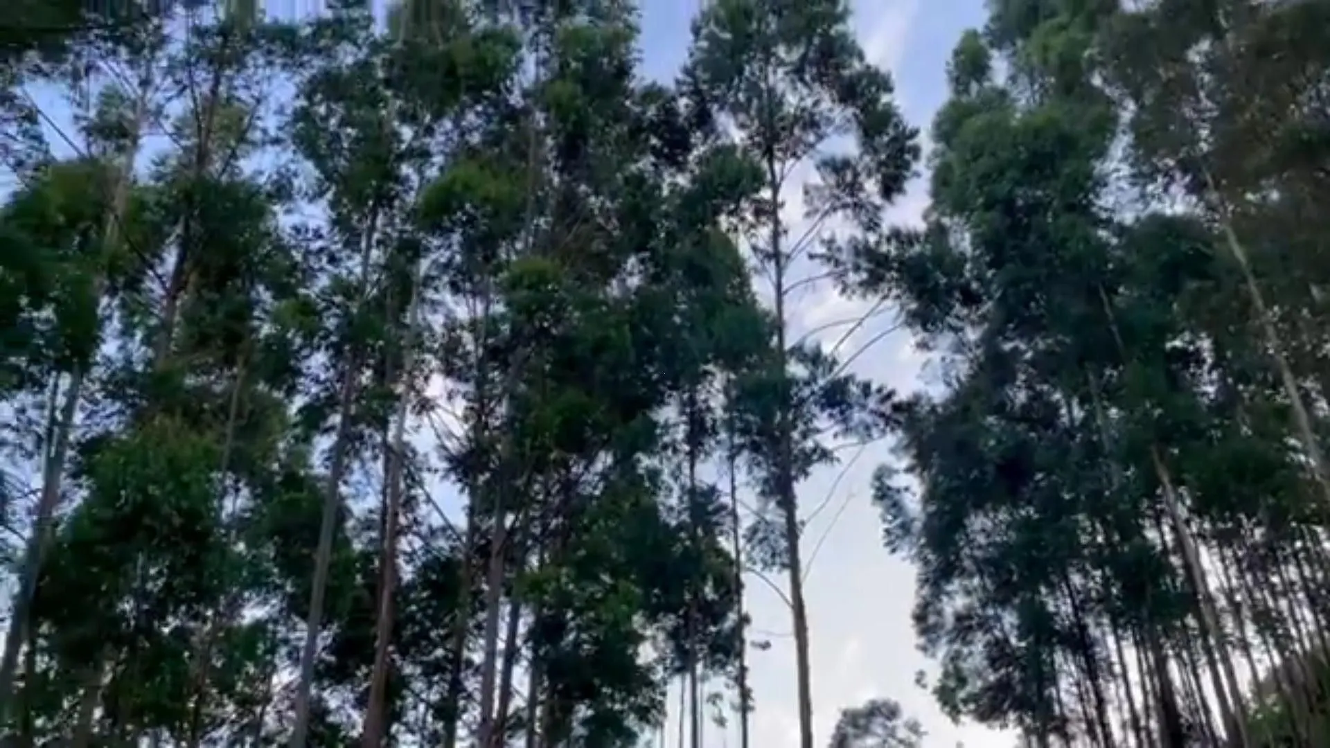 Chácara à venda de 5 ha em Caraá, RS, Brasil