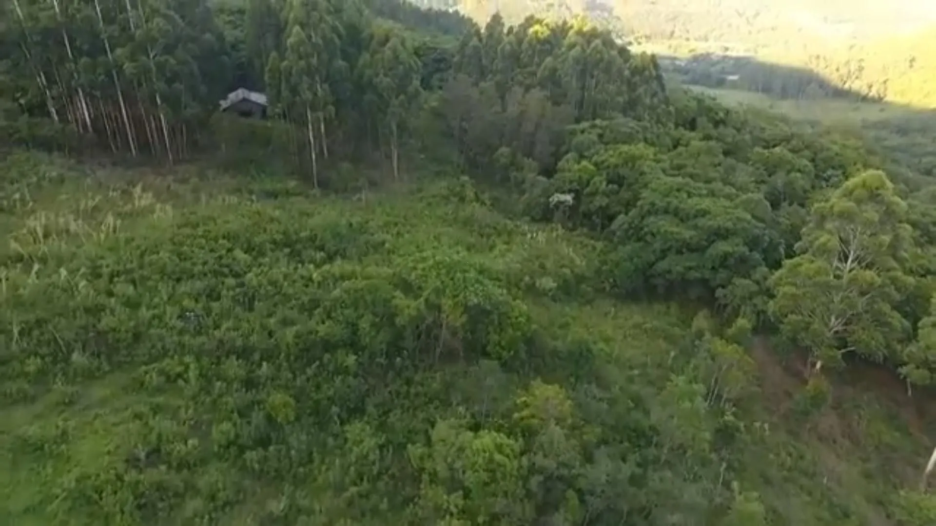 Chácara à venda de 5 ha em Caraá, RS, Brasil