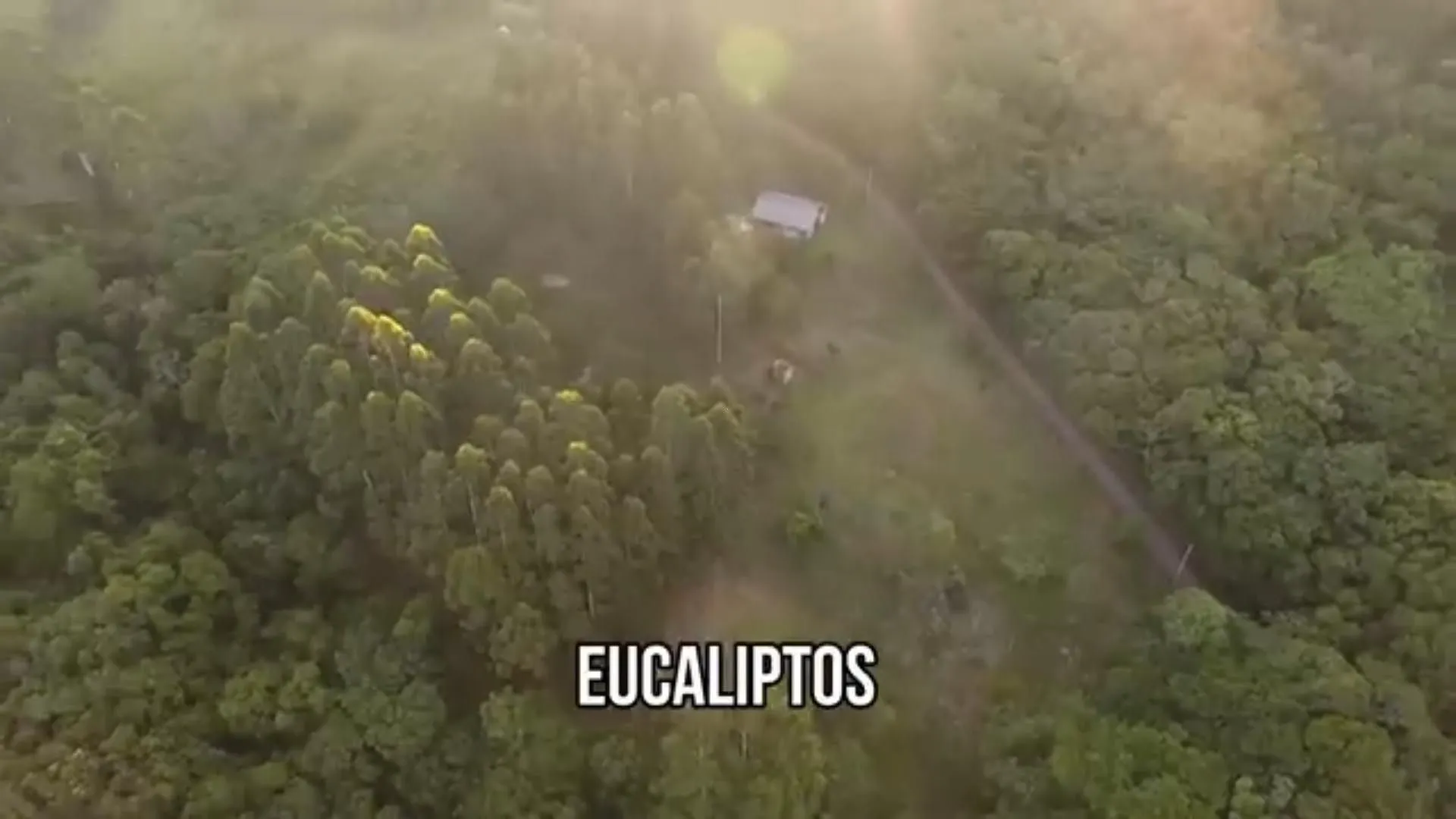 Chácara à venda de 5 ha em Caraá, RS, Brasil