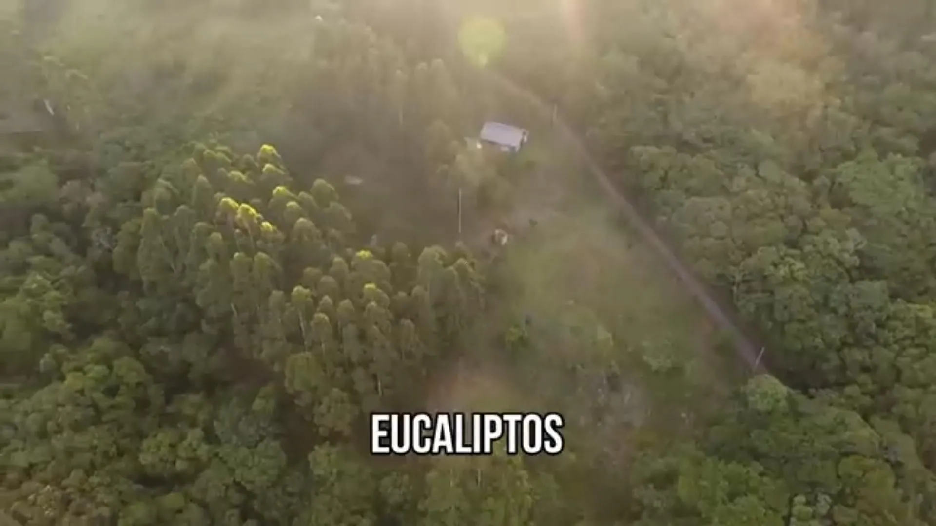 Chácara à venda de 5 ha em Caraá, RS, Brasil