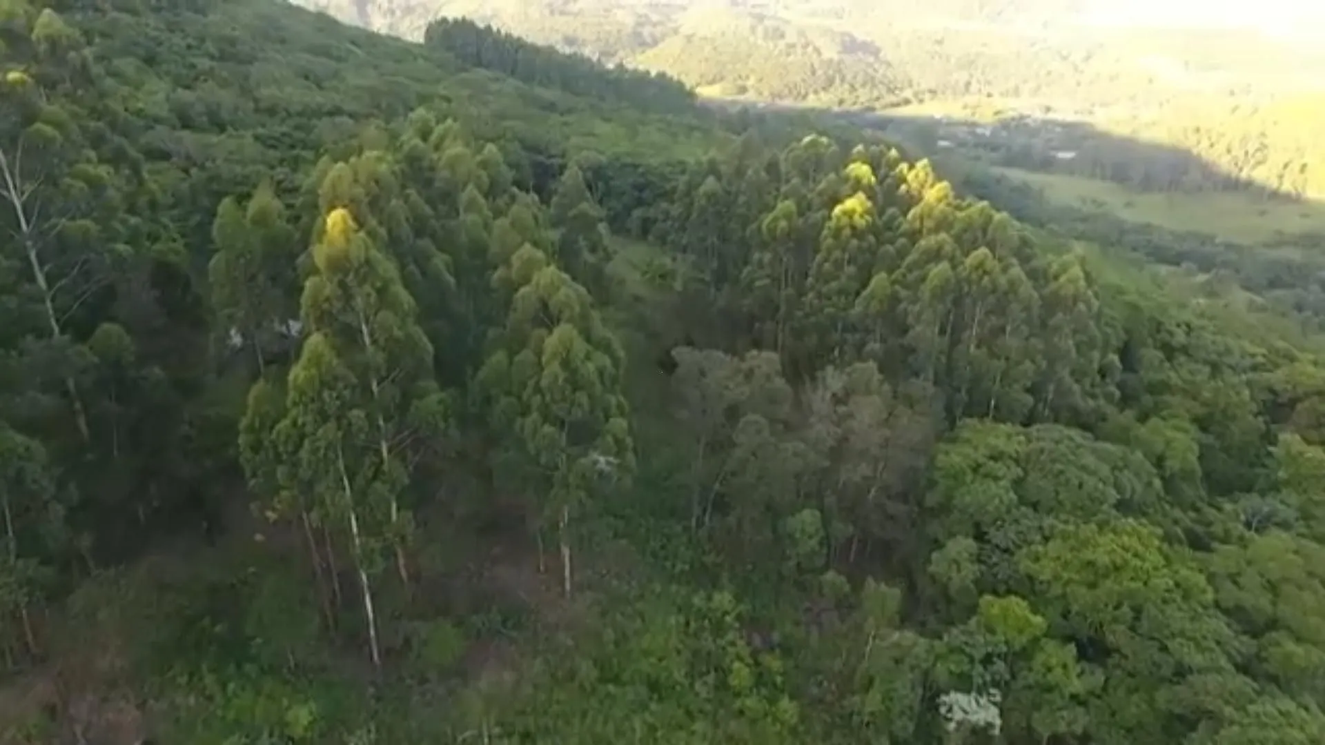Chácara à venda de 5 ha em Caraá, RS, Brasil