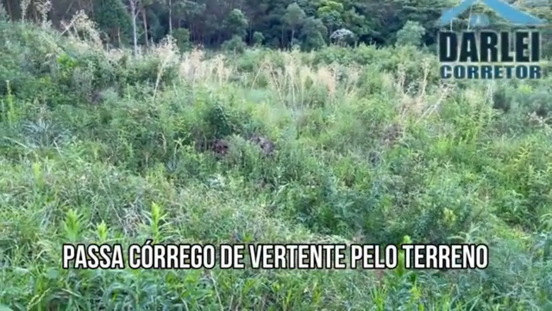 Chácara à venda de 5 ha em Caraá, RS, Brasil
