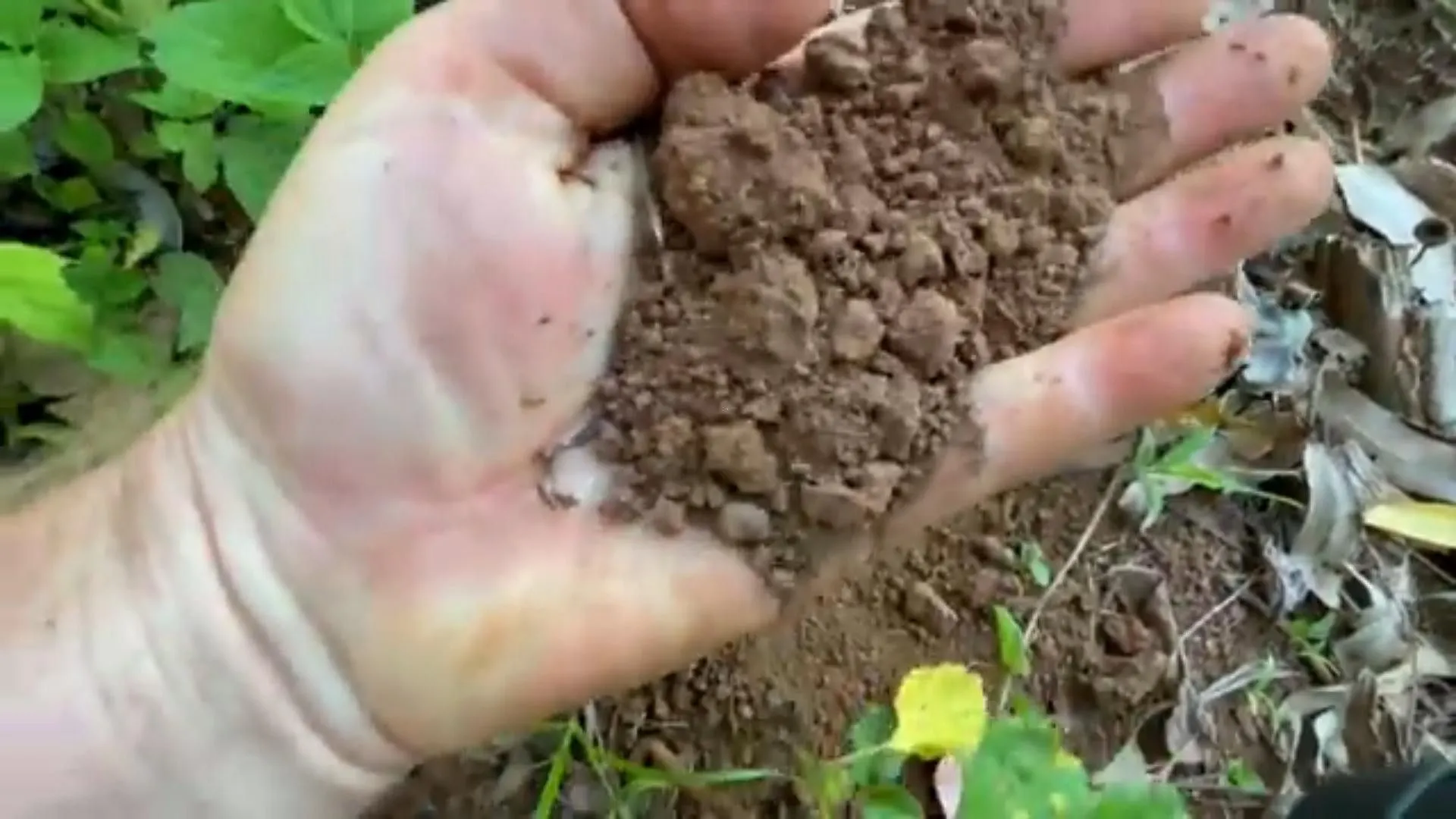 Chácara à venda de 5 ha em Caraá, RS, Brasil