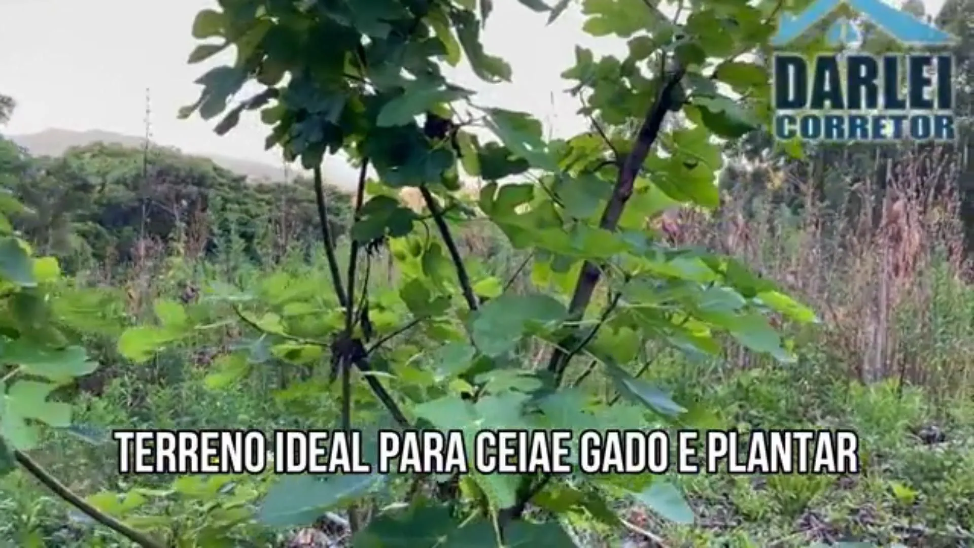 Chácara à venda de 5 ha em Caraá, RS, Brasil