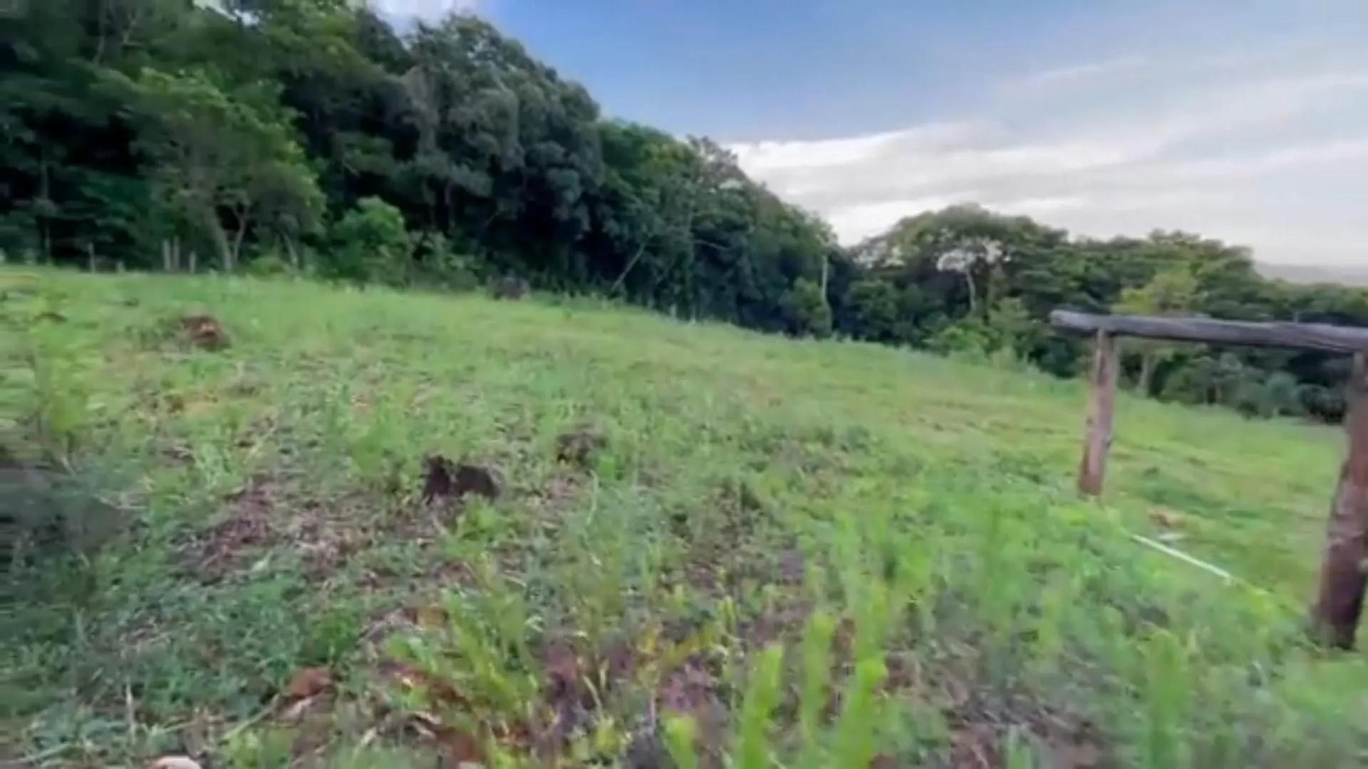 Chácara à venda de 5 ha em Caraá, RS, Brasil
