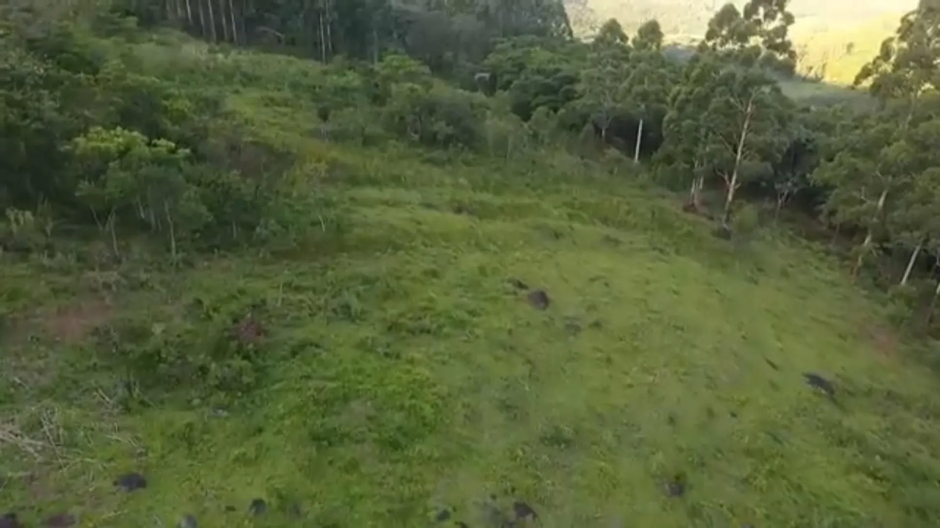 Chácara à venda de 5 ha em Caraá, RS, Brasil