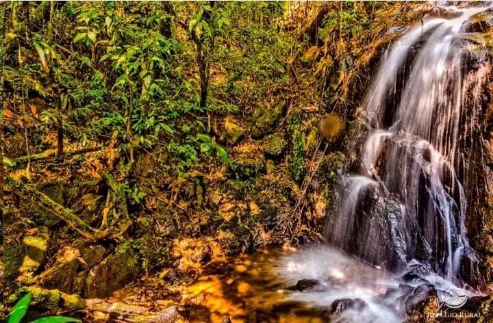 Fazenda à venda de 171 ha em Santo Antônio do Pinhal, SP, Brasil