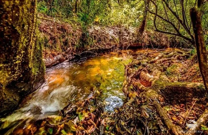 Fazenda à venda de 171 ha em Santo Antônio do Pinhal, SP, Brasil