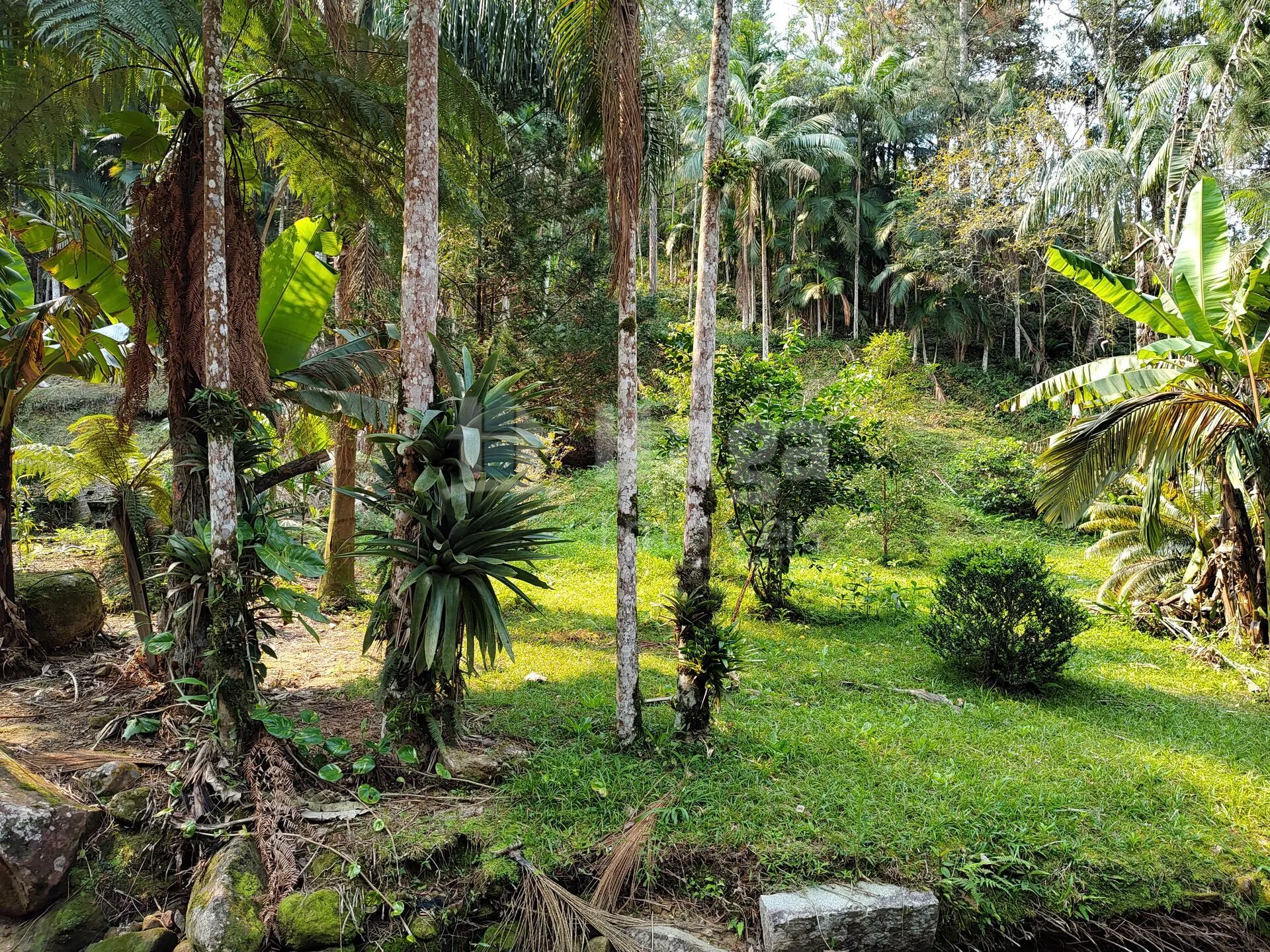 Fazenda à venda de 6.600 m² em Guabiruba, SC, Brasil