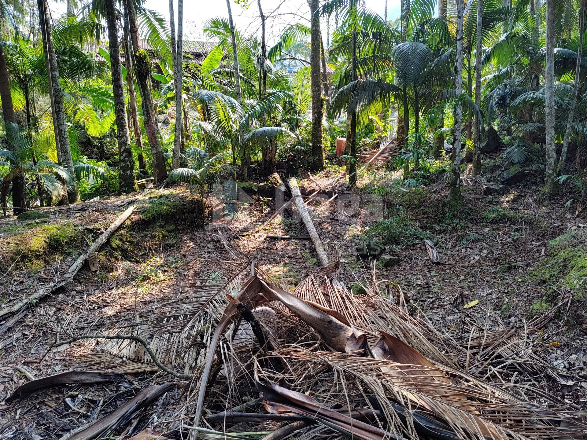 Fazenda à venda de 6.600 m² em Guabiruba, SC, Brasil