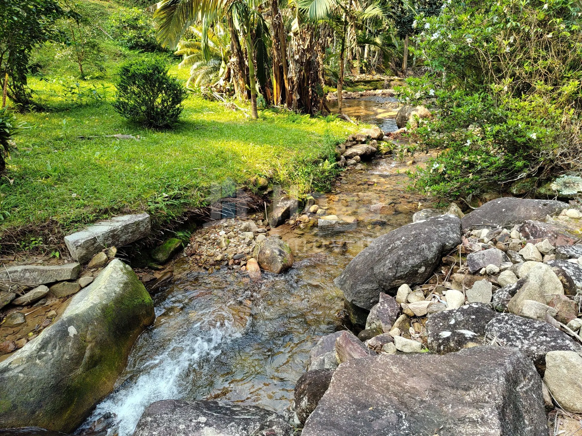 Fazenda à venda de 6.600 m² em Guabiruba, SC, Brasil