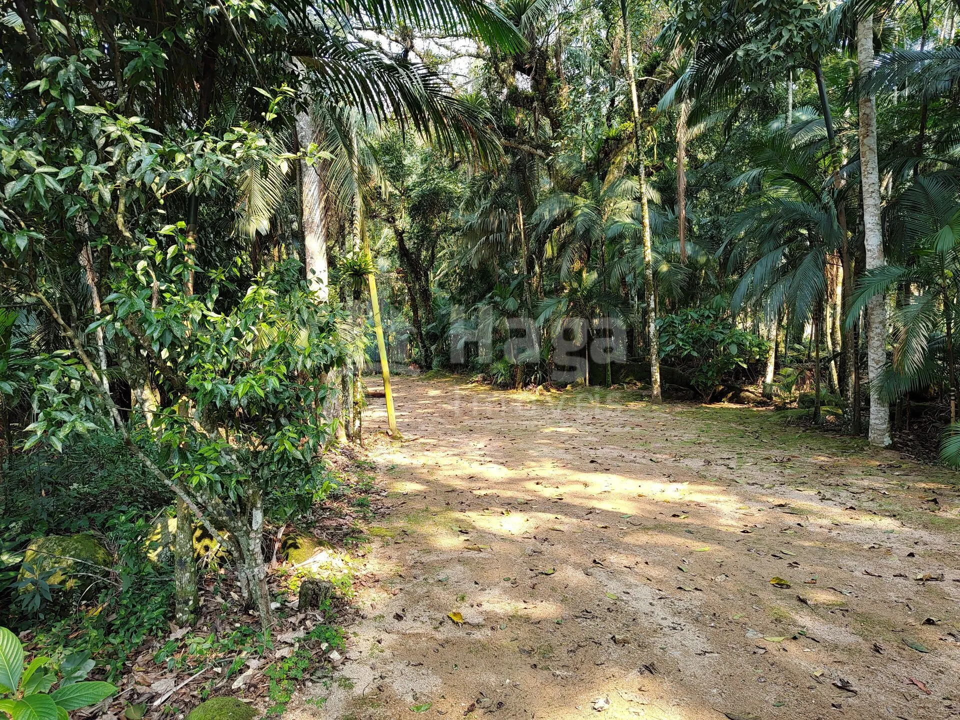 Fazenda à venda de 6.600 m² em Guabiruba, SC, Brasil