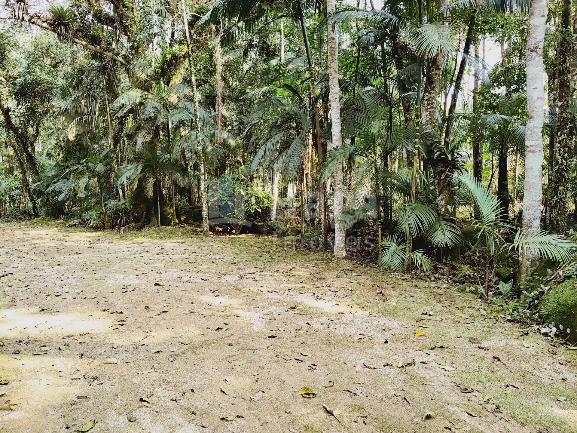 Fazenda à venda de 6.600 m² em Guabiruba, SC, Brasil