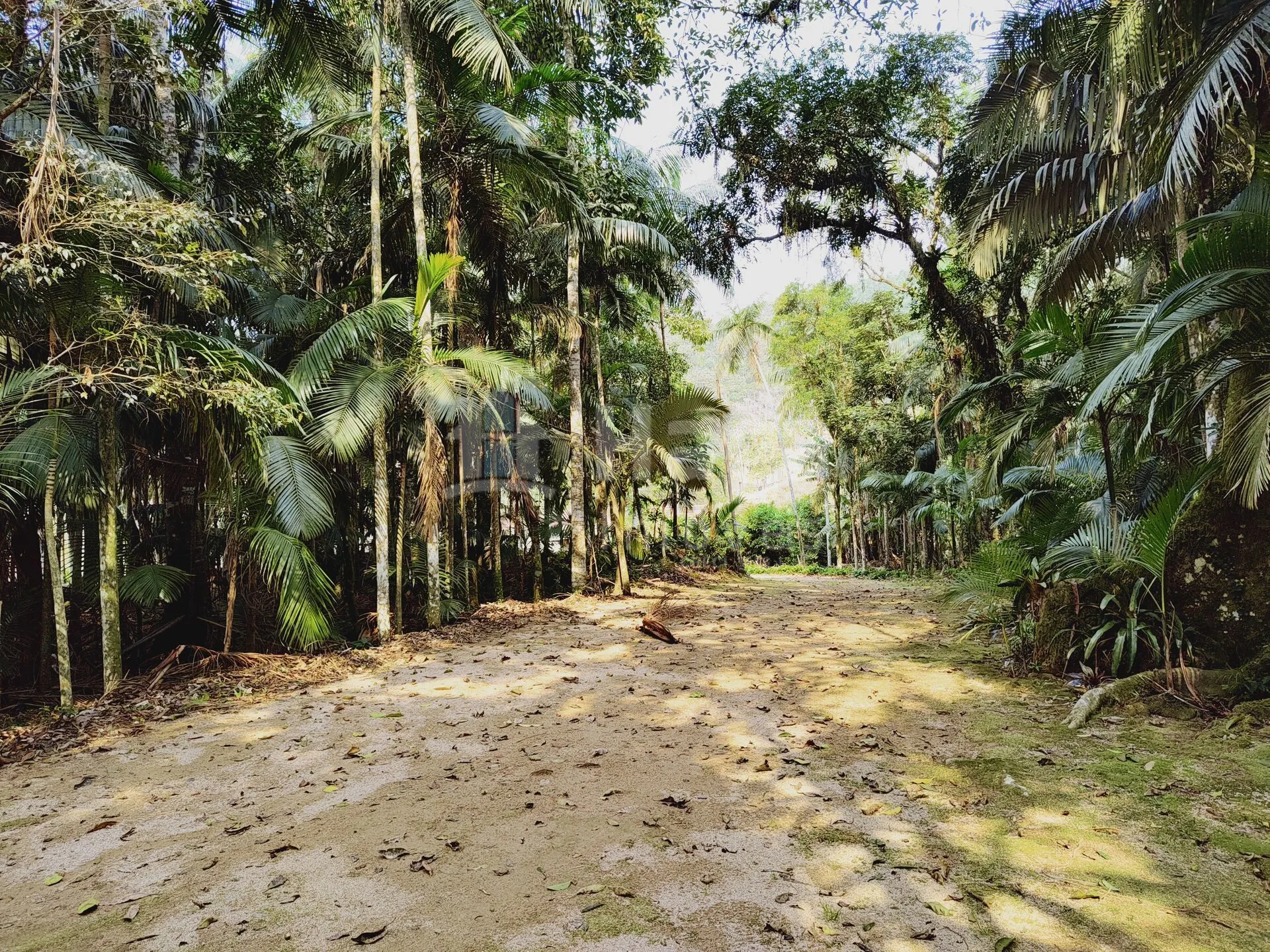 Fazenda à venda de 6.600 m² em Guabiruba, SC, Brasil