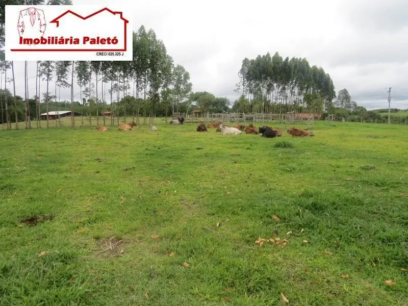 Small farm for sale of 24 acres in Porangaba, SP, Brazil