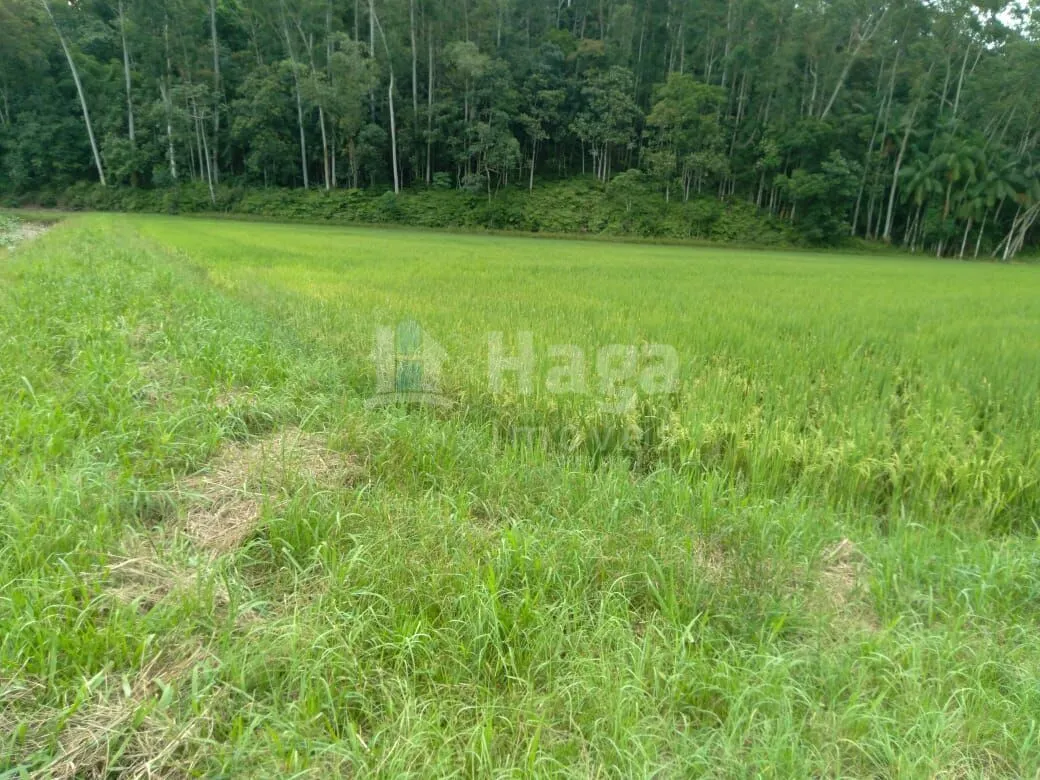 Fazenda à venda de 7.727 m² em Guabiruba, SC, Brasil