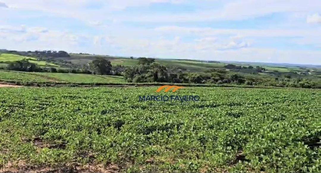 Farm for sale of 478 acres in Matão, SP, Brazil