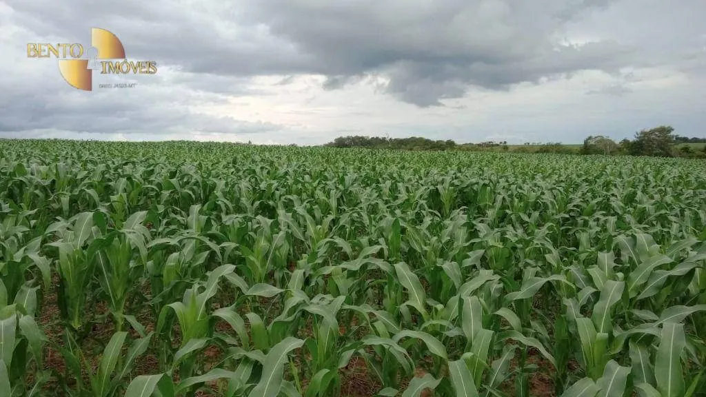 Fazenda à venda e para Arrendar de 3.025 ha em Nova Monte Verde, MT, Brasil