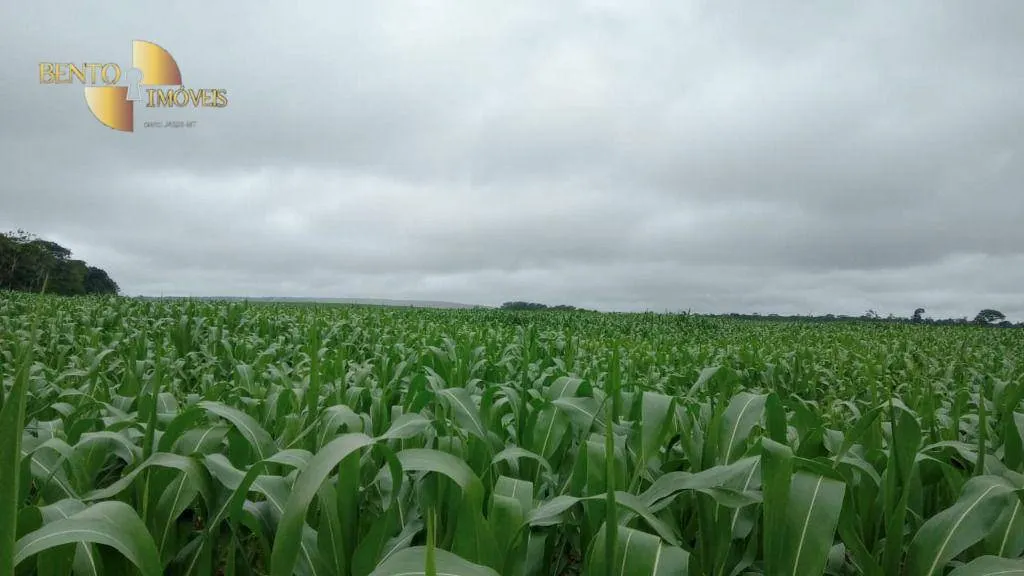 Fazenda à venda e para Arrendar de 3.025 ha em Nova Monte Verde, MT, Brasil