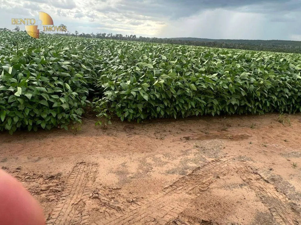 Fazenda à venda e para Arrendar de 3.025 ha em Nova Monte Verde, MT, Brasil