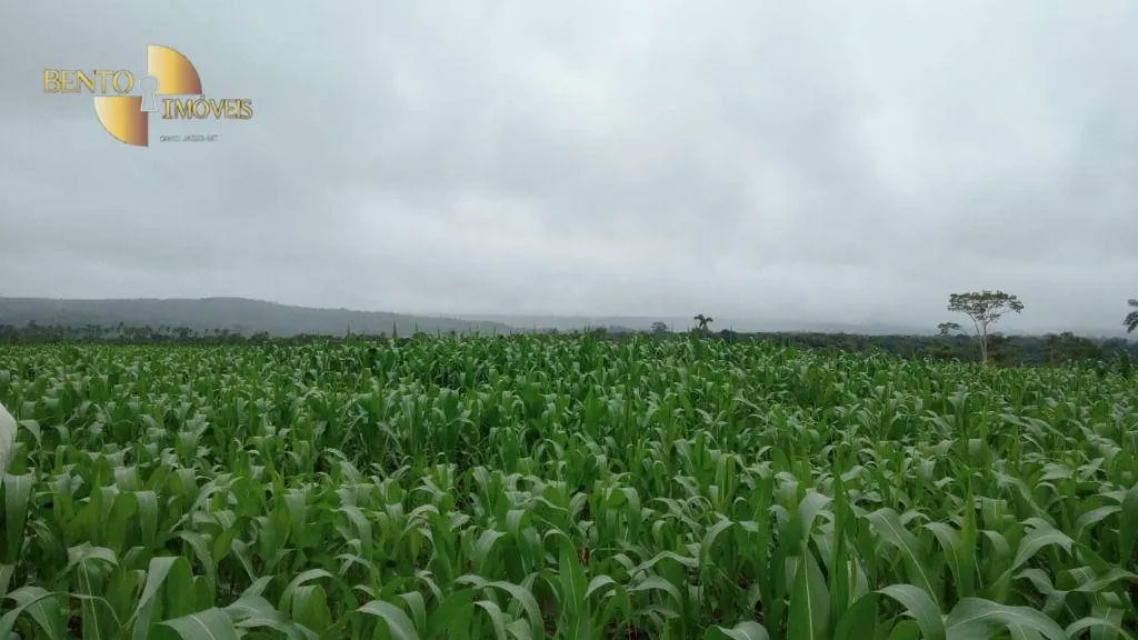 Fazenda à venda e para Arrendar de 3.025 ha em Nova Monte Verde, MT, Brasil