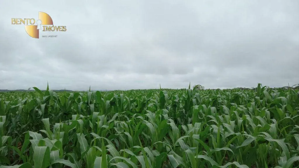 Fazenda à venda e para Arrendar de 3.025 ha em Nova Monte Verde, MT, Brasil