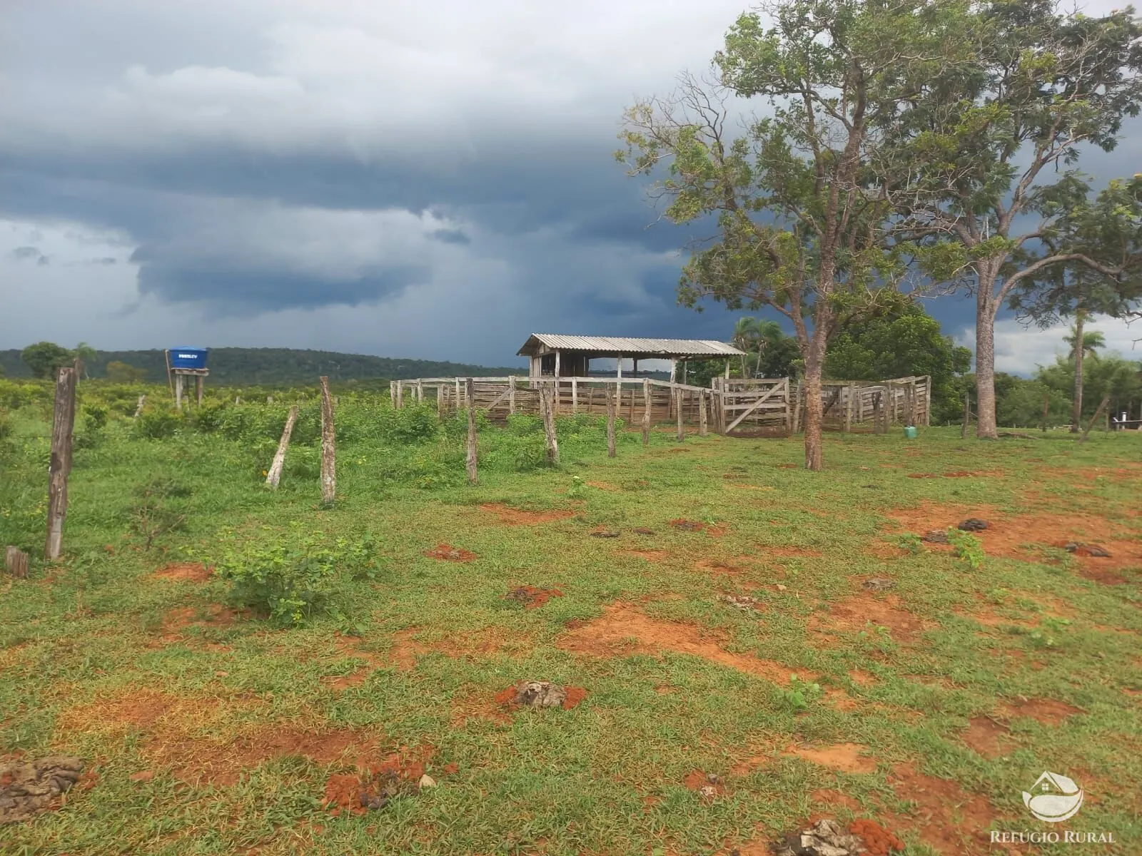 Fazenda à venda de 279 ha em Figueirão, MS, Brasil