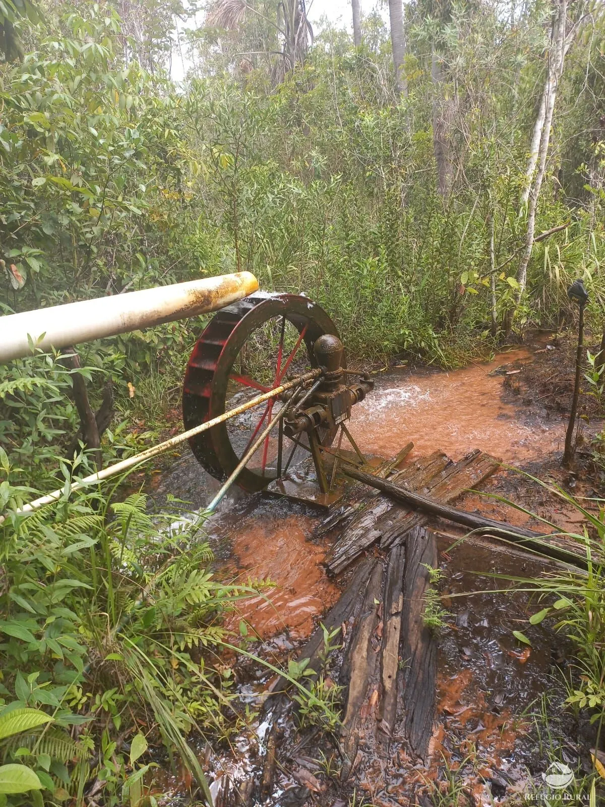 Fazenda à venda de 279 ha em Figueirão, MS, Brasil