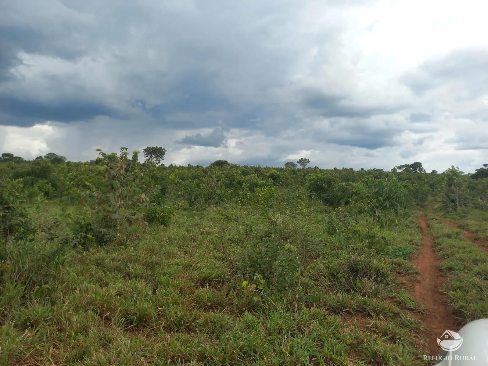 Fazenda à venda de 279 ha em Figueirão, MS, Brasil