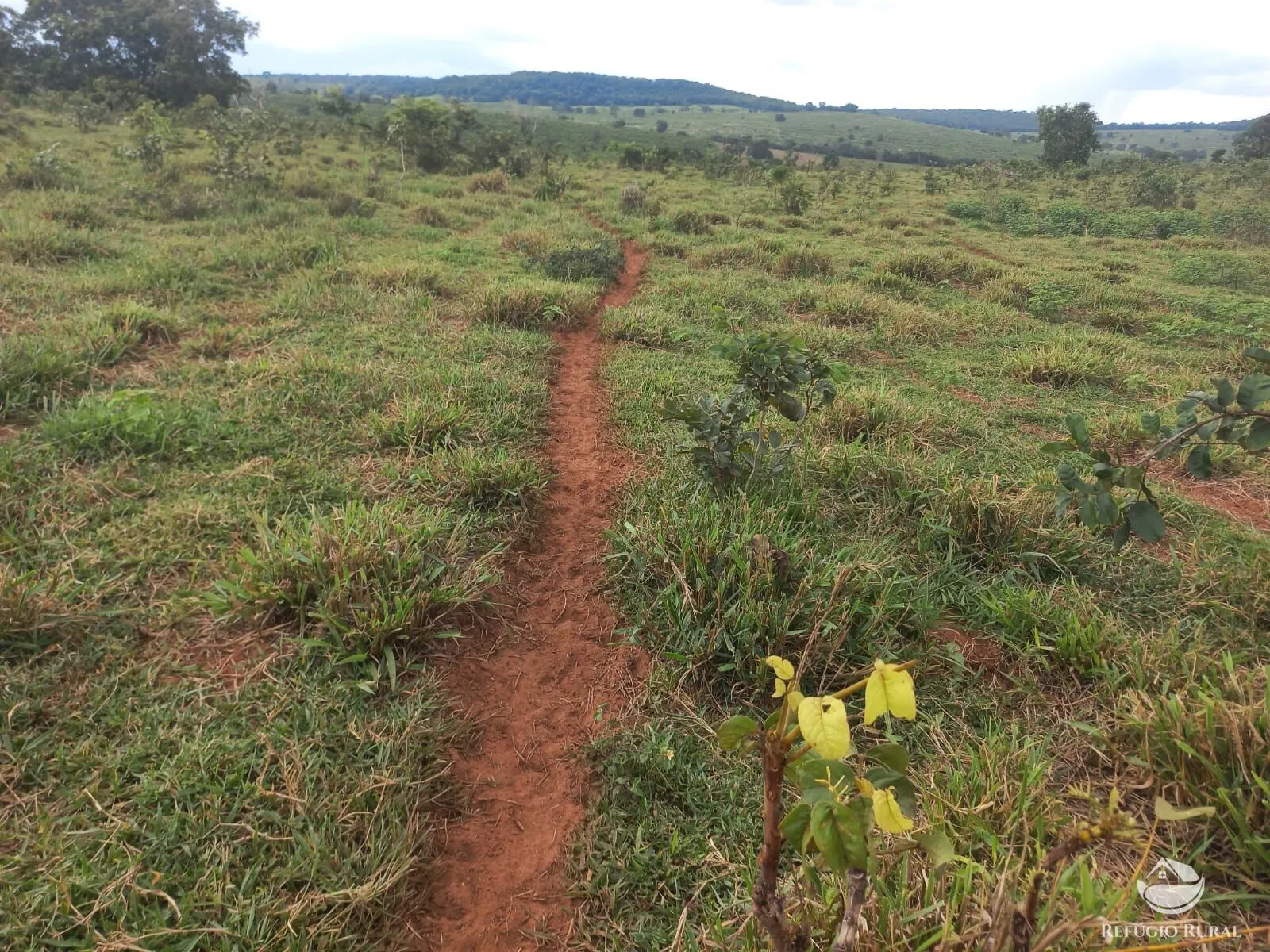 Fazenda à venda de 279 ha em Figueirão, MS, Brasil